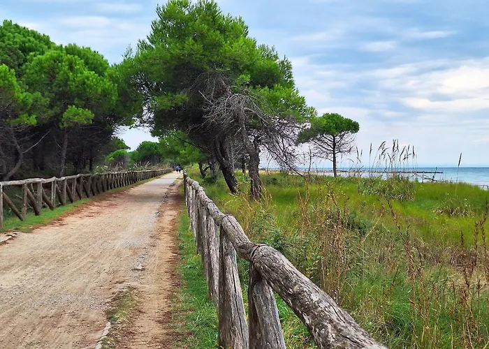Spacious Seaside Flat For 7 Guests - Beahost
