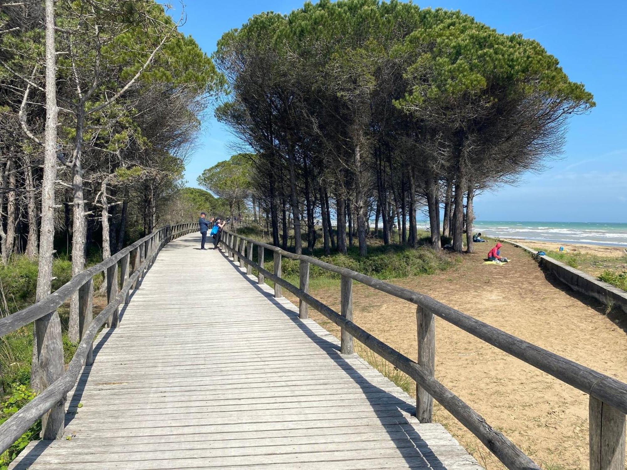 Apartment Spacious Seaside Flat For 7 Guests - Beahost