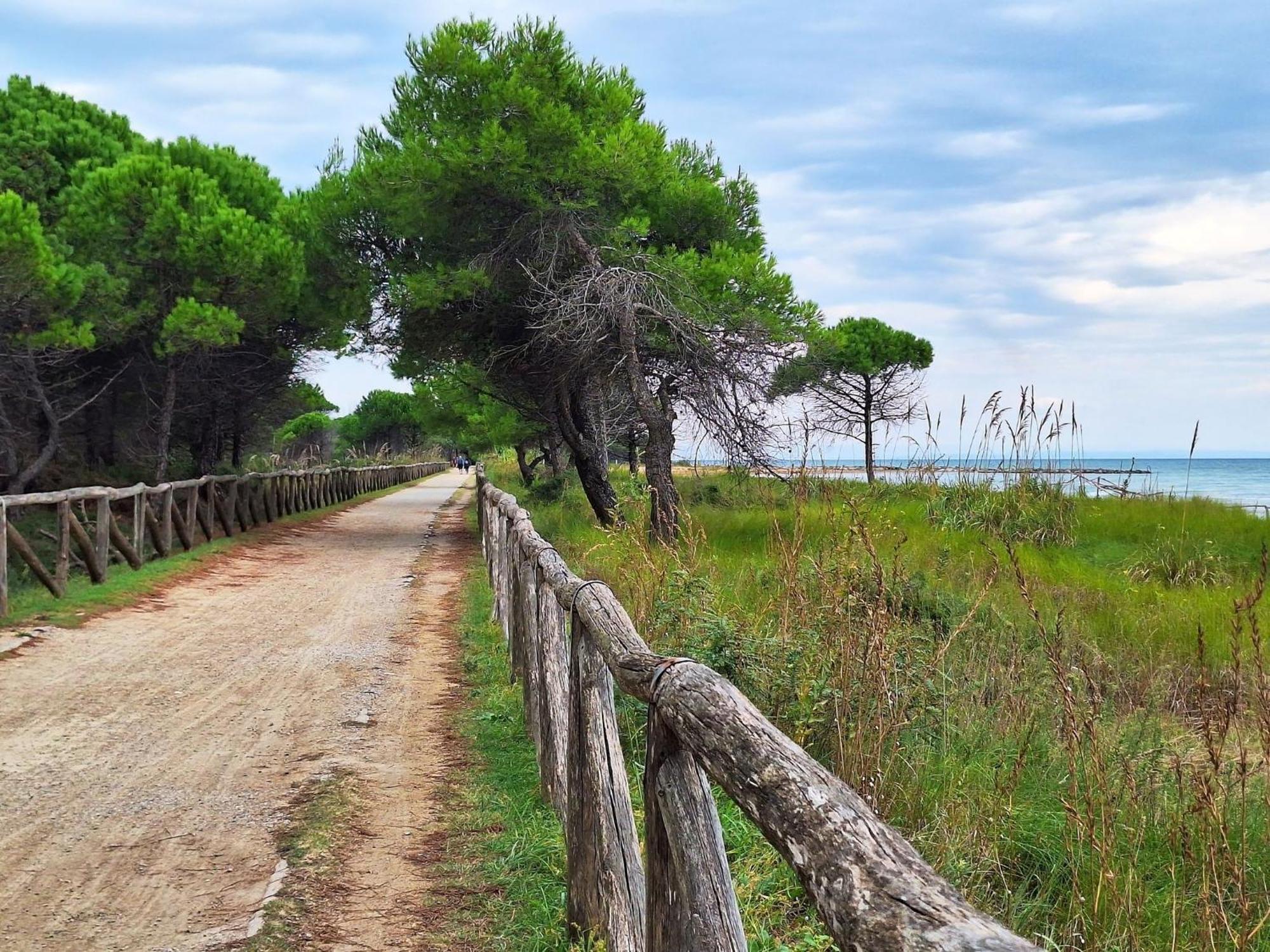 Spacious Seaside Flat For 7 Guests - Beahost Apartment Bibione
